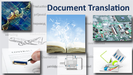 Document Translation
